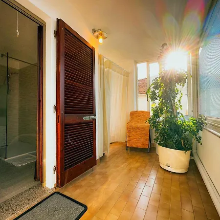 Vicino Al Centro Di *