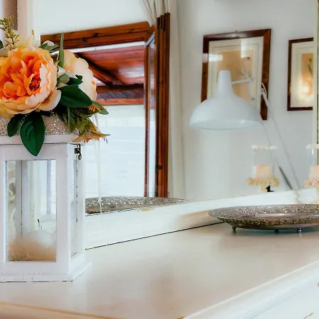 Vicino Al Centro Di Όλμπια