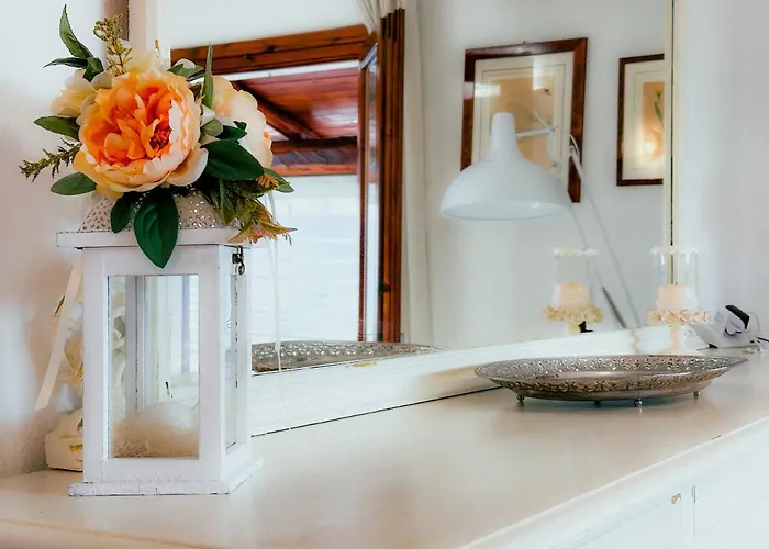 Vicino Al Centro Di Ольбия